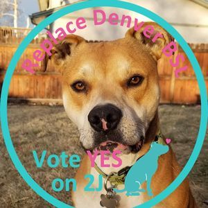 Meet your Posher, Leighann